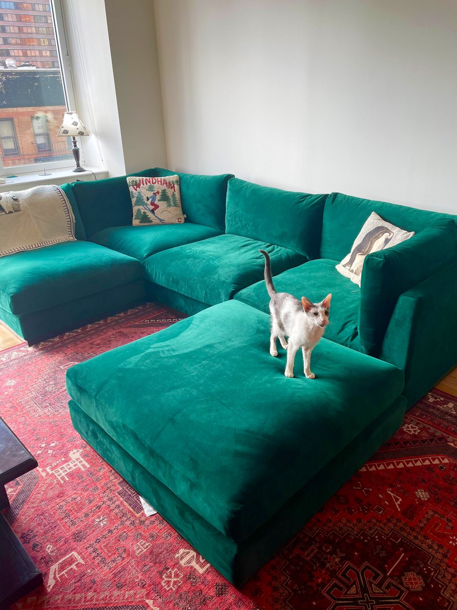 Katie Greifeld on Twitter: "ok we went green couch + red rug  https://t.co/9qbKBtVEkB" / Twitter