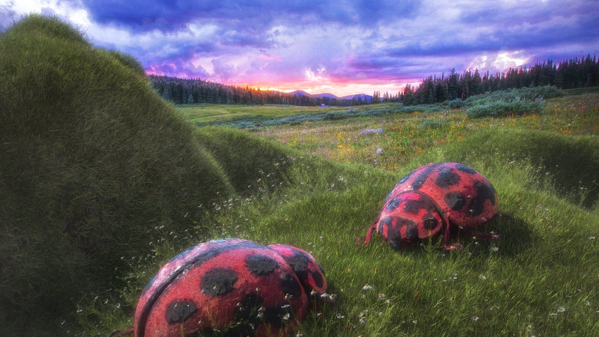 51/365 Macro III 🐞 <a href="/DinardaE/">Digital Archive of Natural History - DiNArDa e.V.</a> <a href="/OTOY/">OTOY</a> <a href="/maxon3d/">MaxOn3D</a> <a href="/quixeltools/">Quixel</a> <a href="/Substance3D/">Adobe Substance 3D</a>
 #C4D #Cinema4D #octane #render #3d #everyday #illustration #design #c4d #cinema4d