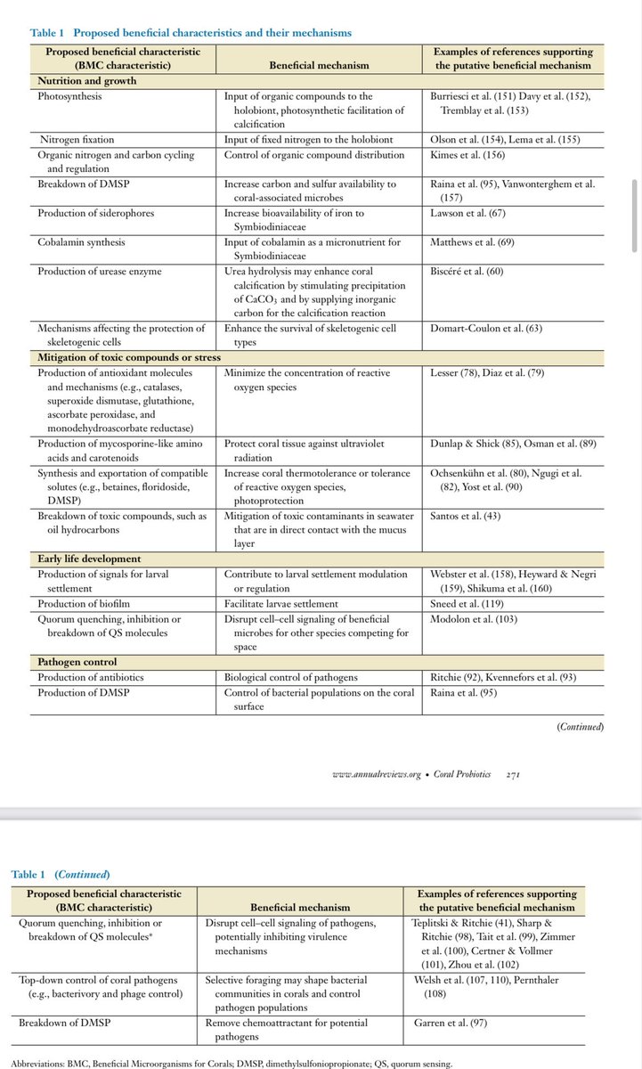 Raquel Peixoto (@peixotors) on Twitter photo And... the final document of our latest update on coral probiotics is out! Featuring the amazing <a href="/hdmvillela/">Helena Villela</a> <a href="/PedroMoreiraCa5/">Pedro Cardoso</a> <a href="/DiseaseMatters/">Prof. Michael Sweet</a> <a href="/reefgenomics/">Christian R Voolstra</a> David Bourne, Torsten Thomas and Lone Hoj. <a href="/RSRC_KAUST/">Red Sea Research Center, KAUST</a> <a href="/TEDx_KAUST/">TEDxKAUST</a> <a href="/KAUST_News/">KAUST</a> annualreviews.org/doi/full/10.11… And... the final document of our latest update on coral probiotics is out! Featuring the amazing <a href="/hdmvillela/">Helena Villela</a> <a href="/PedroMoreiraCa5/">Pedro Cardoso</a> <a href="/DiseaseMatters/">Prof. Michael Sweet</a> <a href="/reefgenomics/">Christian R Voolstra</a> David Bourne, Torsten Thomas and Lone Hoj. <a href="/RSRC_KAUST/">Red Sea Research Center, KAUST</a> <a href="/TEDx_KAUST/">TEDxKAUST</a> <a href="/KAUST_News/">KAUST</a> annualreviews.org/doi/full/10.11…