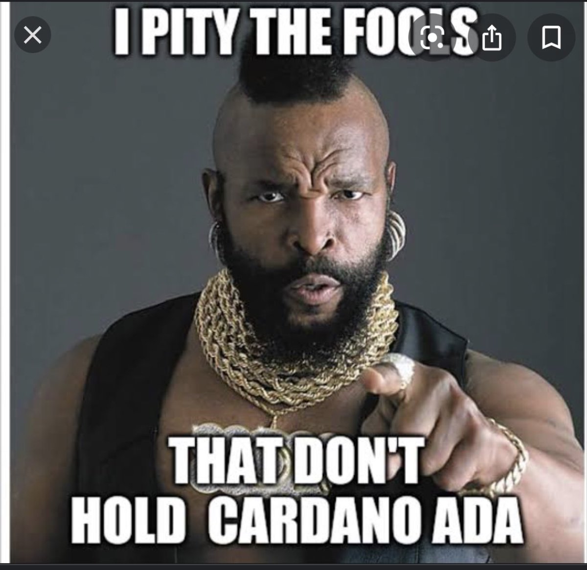 hamishstubbs's tweet photo. @elonmusk How have I not seen any other Cardano comments just went past $1 yesterday and the Mary hard fork is happening next week, Elon knows https://t.co/1gJ3TTIAzw