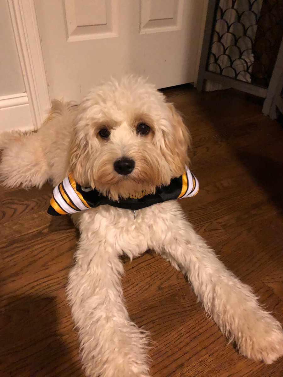 wongethan17's tweet photo. @SteelersUnite @steelers https://t.co/xuQt9s8BNt