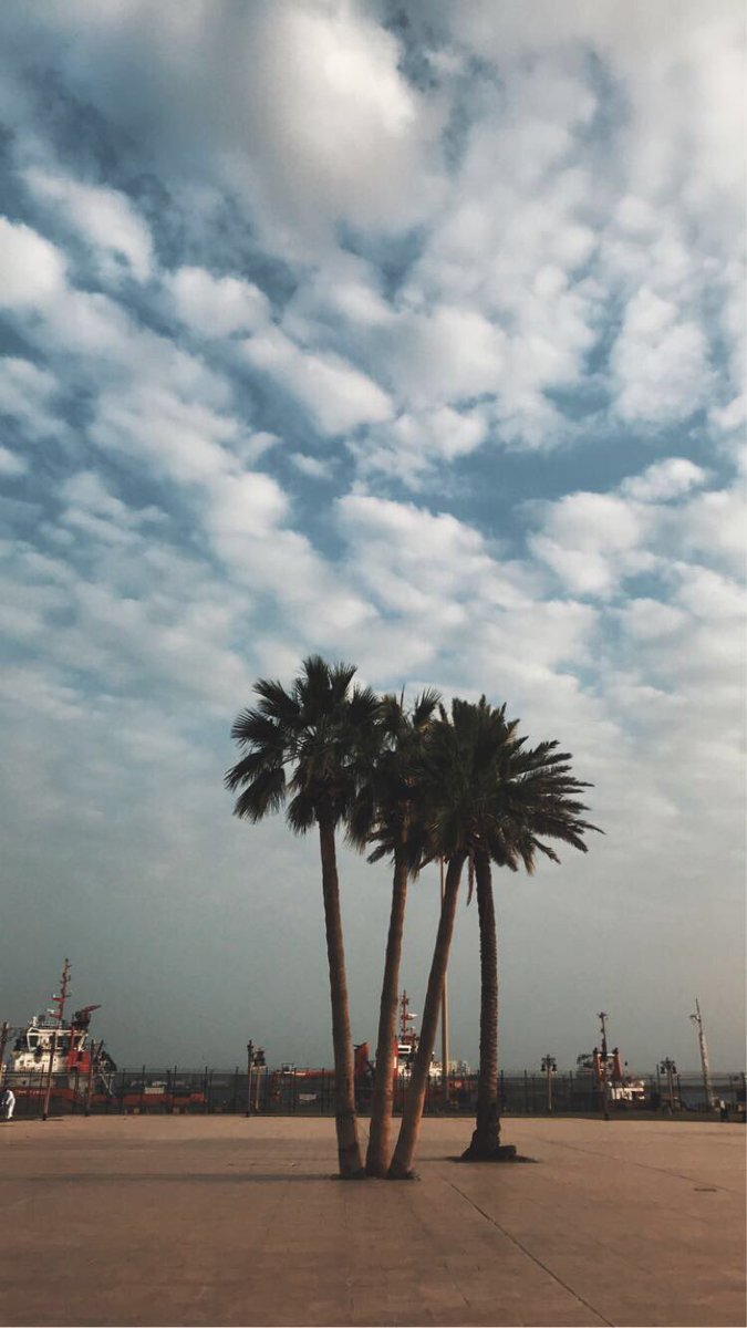 24Hoosh's tweet photo. #تصويري

رايكم ؟! https://t.co/d8PRU5h1Ea