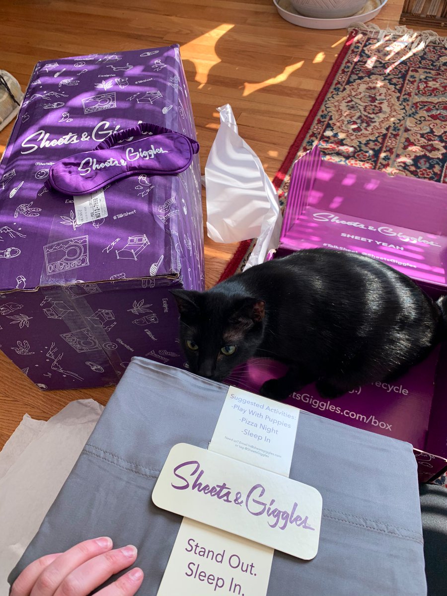 MarandaManning_'s tweet photo. Really exciting sheet happening this weekend! Harvey’s just excited for a new box. https://t.co/TlFaO0wW3i