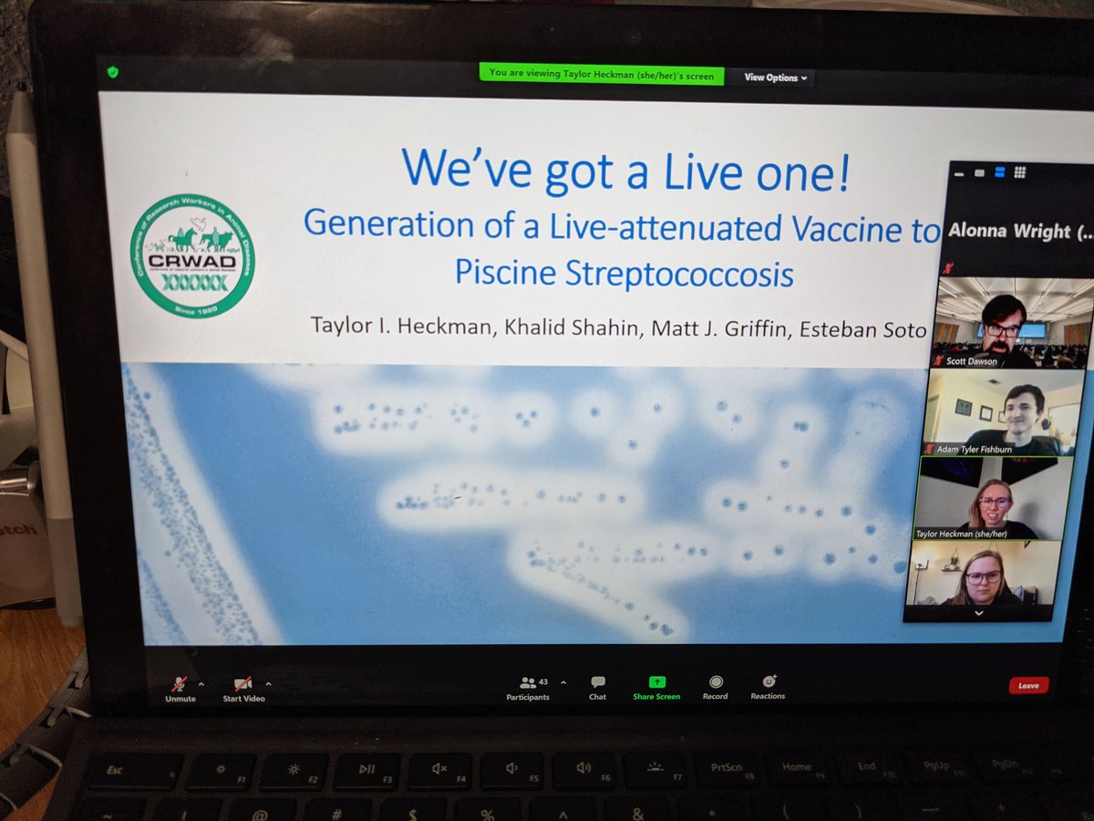 Davis Microbiology Grads tweet media