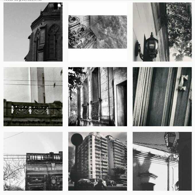 Mar 🌱 tweet media