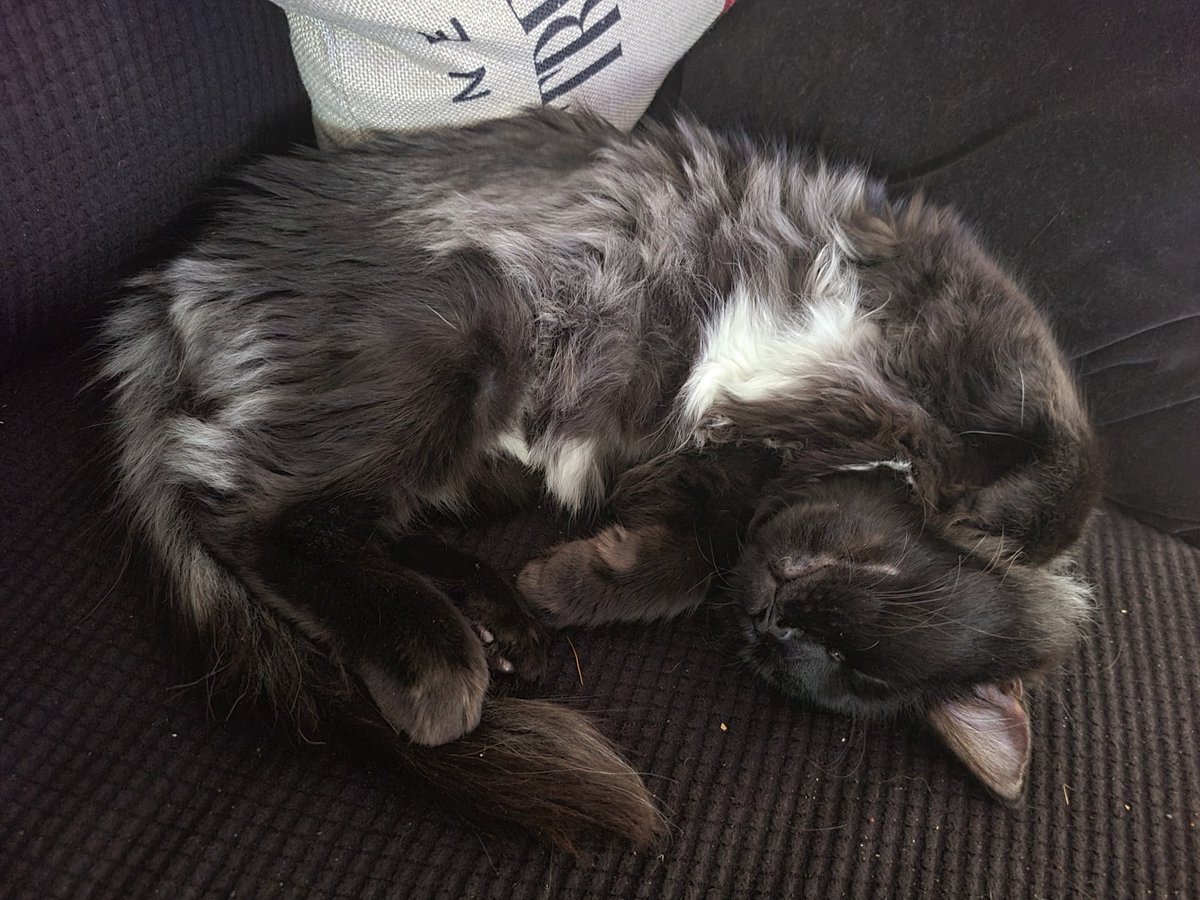 Bride of Chucky tweet media