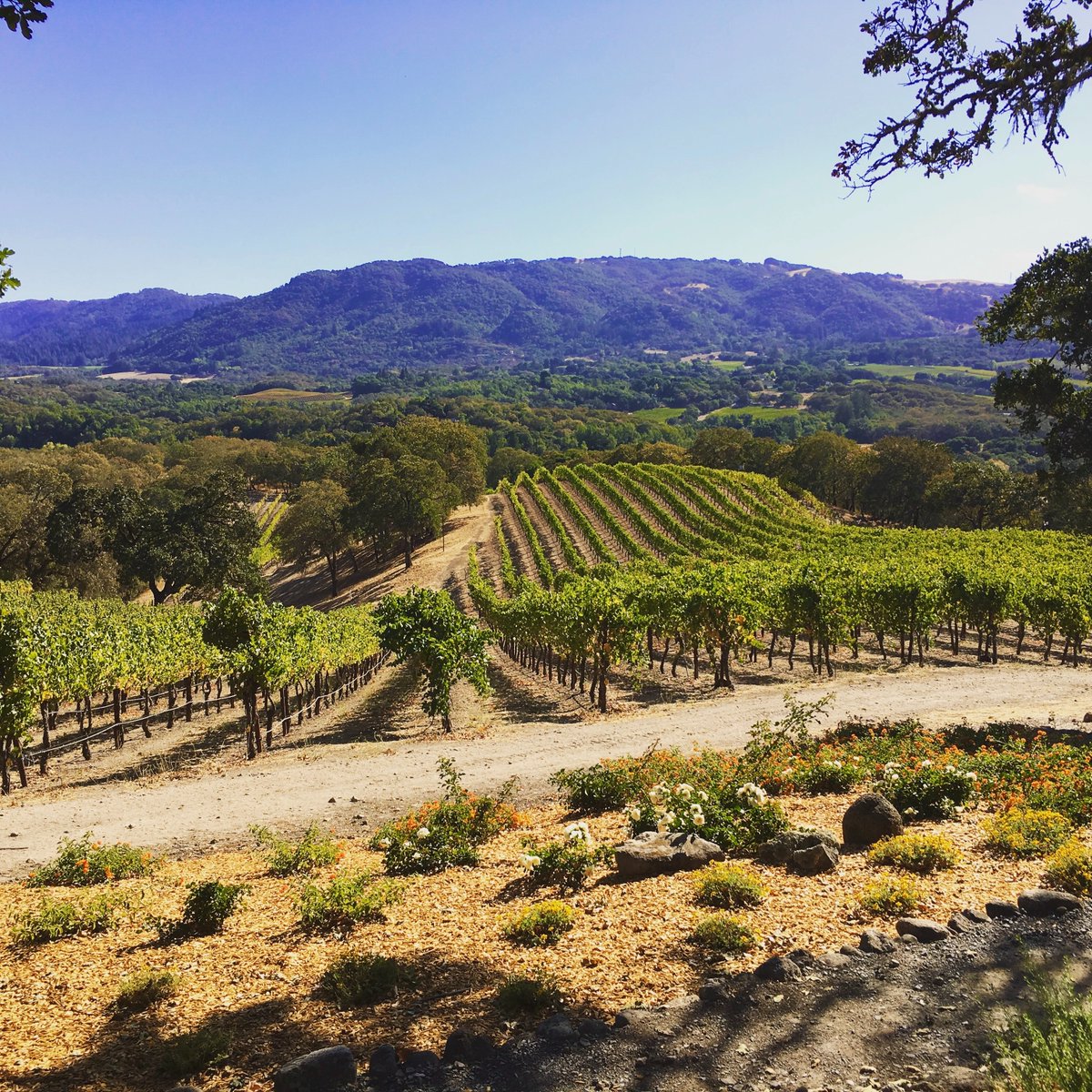 We can't wait to spend our Saturdays exploring the country's Vineyards and wineries again! 😍🍇🍷🇺🇸
Want to find your closest vineyards? Head to our website! ⤵️
💻 | vineyardregistry.com
#WineCountry #Weekend #Wine #Vineyard #Winery