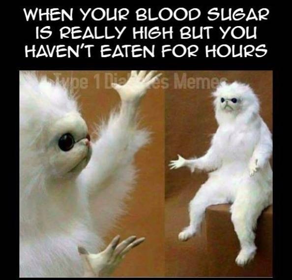 Sweetdiabetic2's tweet photo. I have not eaten anything for 12 FULL hours! How did that happen? Does the air I breathe have sugar in it?!? ⁠
⁠
#sweetdiabetic #diabetic #diabeticlife #diabeticfriendly #type2diabetic #diabetics #diabeticproblems #diabeticgirl #diabetictype2 #type2 #hba1c #bloodusgar #glucose https://t.co/B3K3GJFR5b