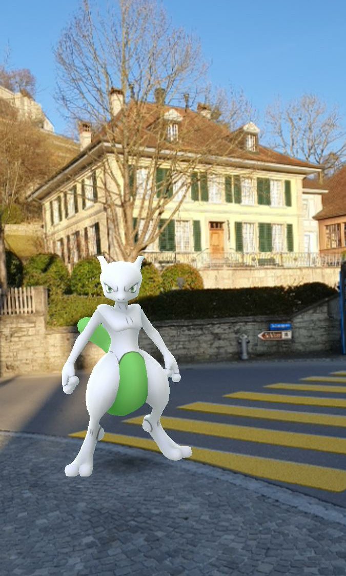 steffmeyech's tweet photo. Oh my f***cking god😍🙌
A shuundo mewtwo from a raid in my hometown 😍🥳
Thanks for all the raids and the fun day @_Sagerin_ @dooriath @0oTraumato0o 
#HLCLenzburg #hundo #mewtwo #pokemongo https://t.co/ElJUxAGoJC