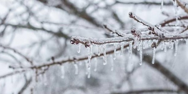 PresHaber's tweet photo. Meteoroloji 3. Bölge Müdürlüğünden don uyarısı. Eskişehir, Bursa, Kütahya ve Bilecik şehirlerinde zirai don 22 Şubat Pazartesi gününe kadar devam etmesi bekleniyor. Tarımla uğraşan üreticilerin dikkatli ve tedbirli olması istendi. https://t.co/8514wvMNGW