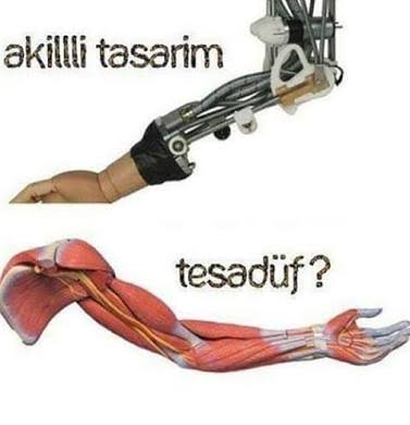 #KuranınBilimselMucizeleri 'ni inkarcılara anlatamazsın çünkü onlara göre Robot mucize ama kendisi tesadüf..