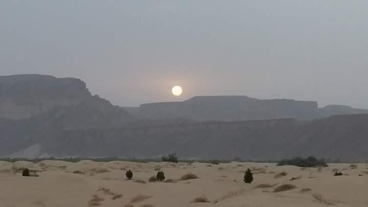 abo_akrm_'s tweet photo. #الاجواء_الجميله في ناس مثل الشمس الوقفه معاهم تسود الوجه . https://t.co/DThbsuqN1j