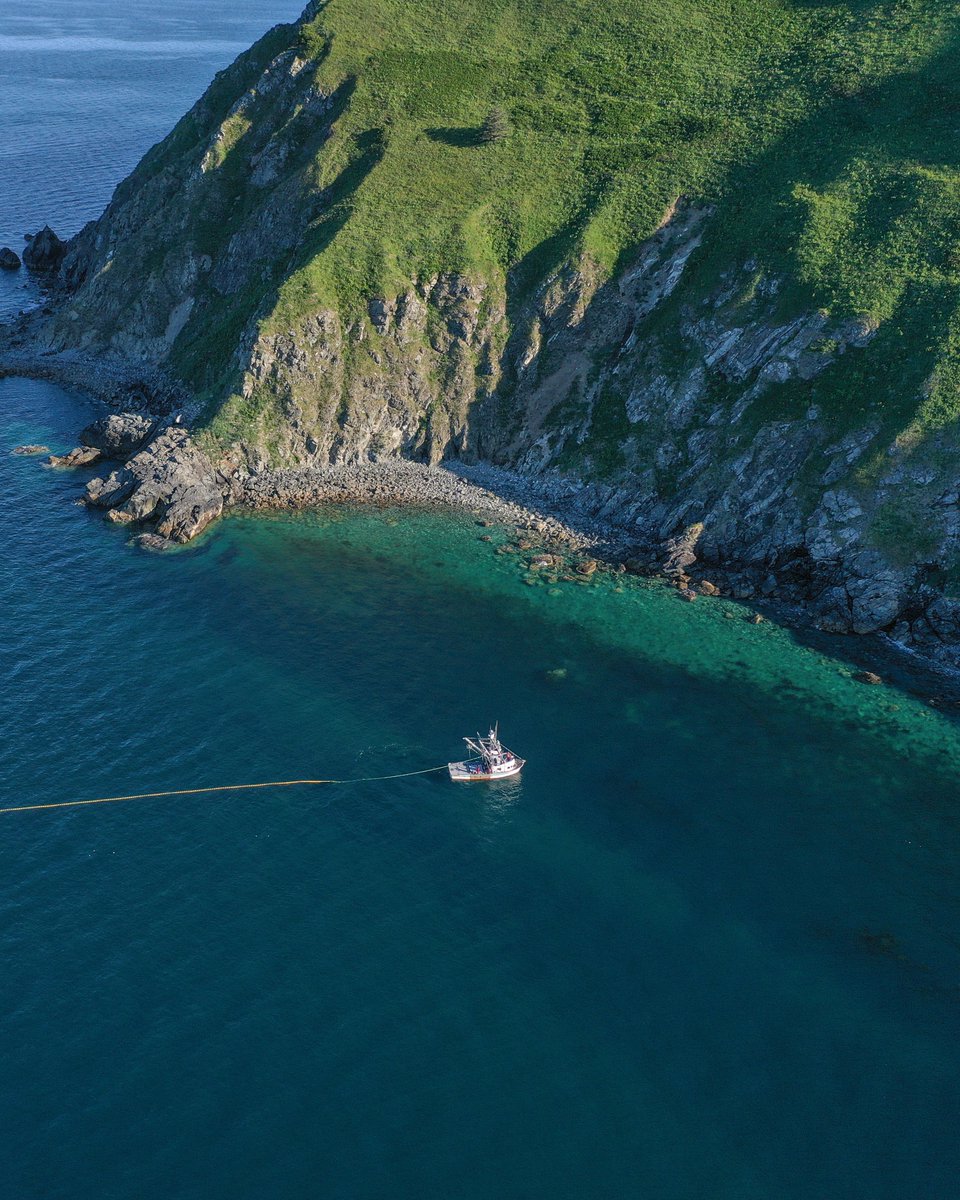 just dreaming of life on the ocean again✨