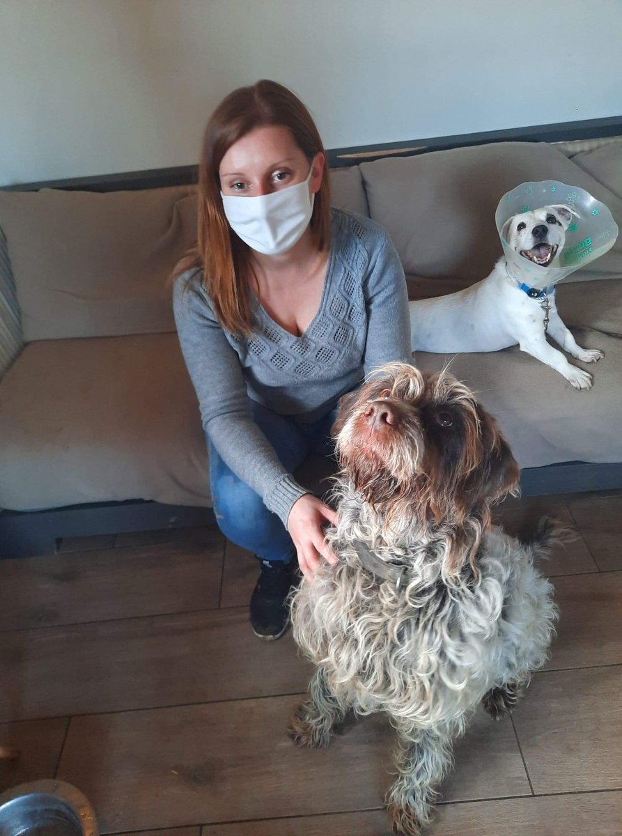 FBB / La vie de nos 3 refuges et des animaux 🏡 tweet media