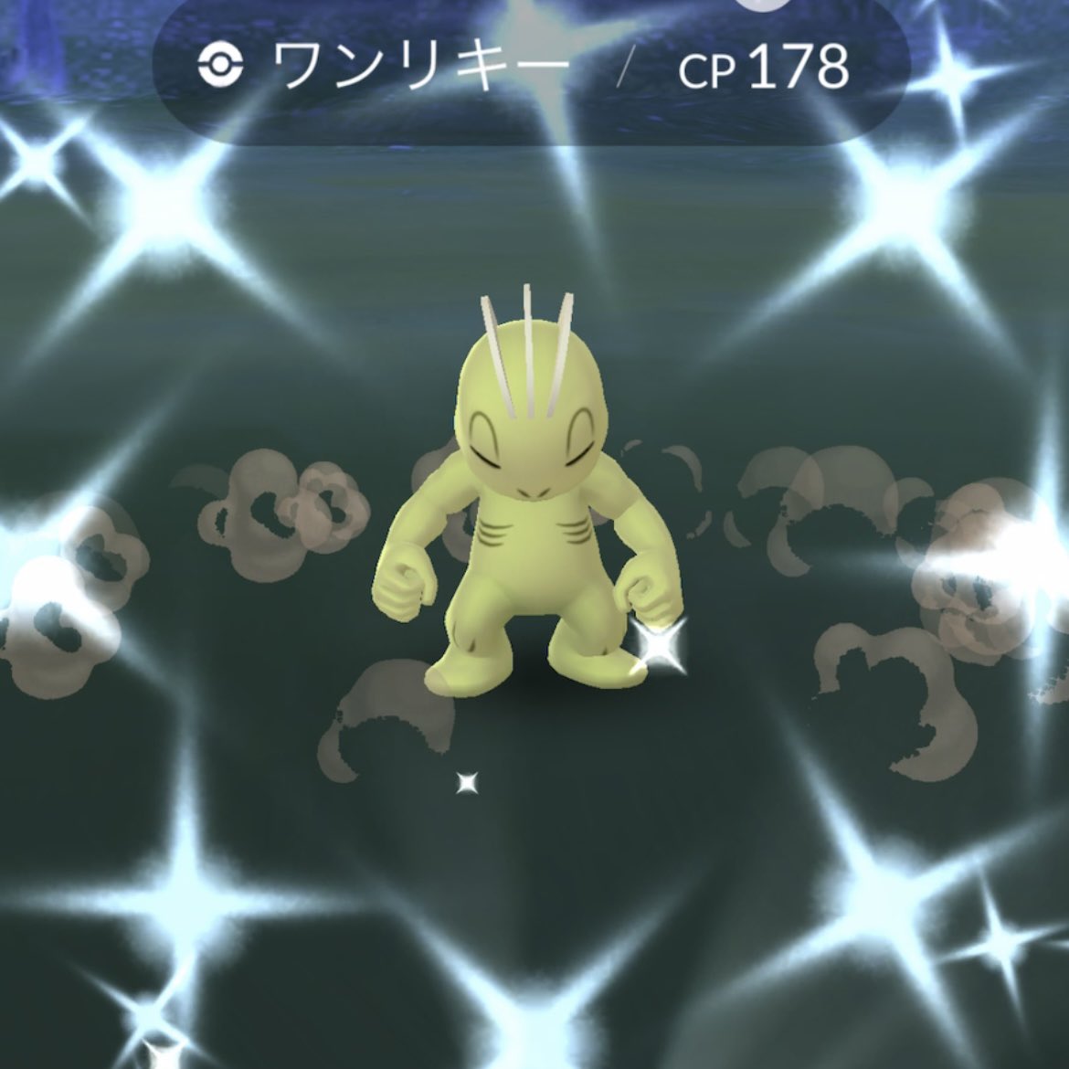 サｧたん 低浮上 昨日の成果と 一昨日のキラ交換と ご飯屋さんに行ったら なぜか店内にスズメがいたってこと ポケモンgo