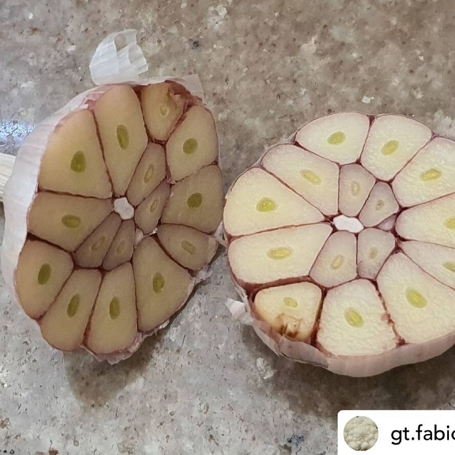 3dheals's tweet photo. #repost Nature @gt.fabio.66 Voronoi #descriptivegeometry #voronoi #nature #geometria #geometric #geometry #geometriadescritiva #architecture #naturegeography #naturegeometry https://t.co/CdqKovvZsK