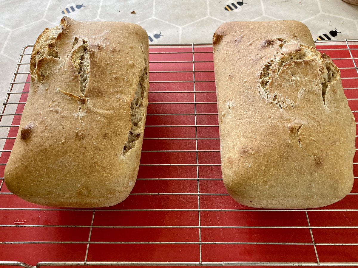 JuliaShacklock's tweet photo. My most successful attempt yet at sourdough loaves. Just flour water and a lot of patience! #sourdough #homemade #tasty https://t.co/uHIQ0mZ6uB
