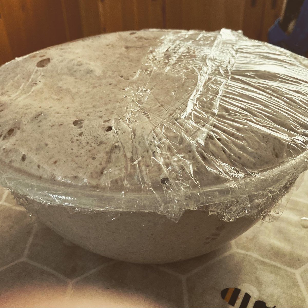 JuliaShacklock's tweet photo. My most successful attempt yet at sourdough loaves. Just flour water and a lot of patience! #sourdough #homemade #tasty https://t.co/uHIQ0mZ6uB