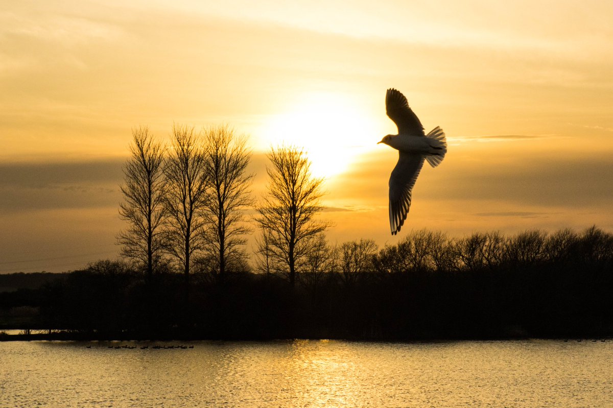 TINA RALPH tweet media