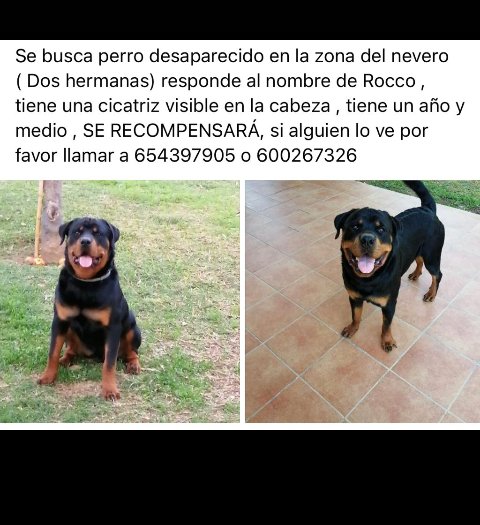 Os ruego máxima difusión.
Gracias de antemano.