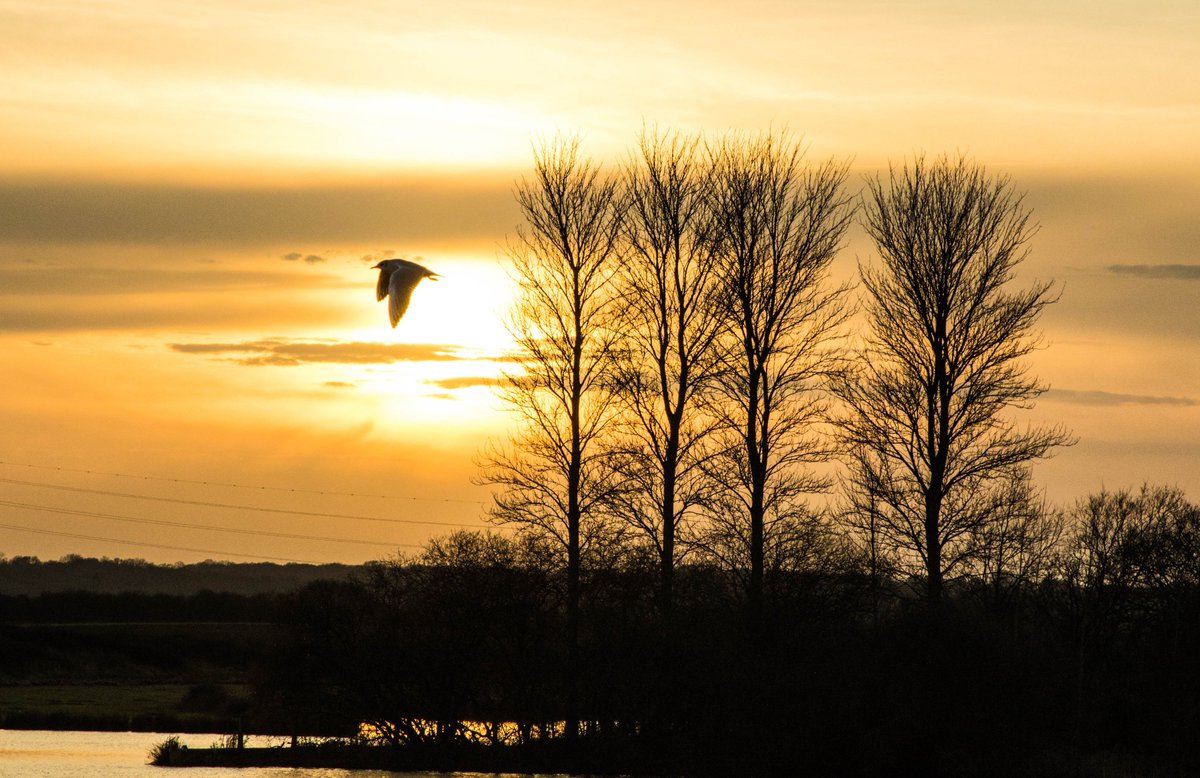 TINA RALPH tweet media