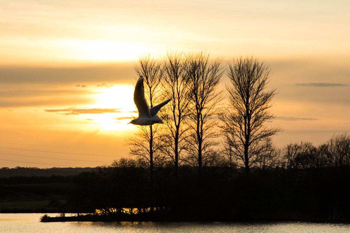 TINA RALPH tweet media