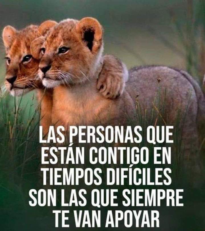 Literat (@literartee) on Twitter photo 
