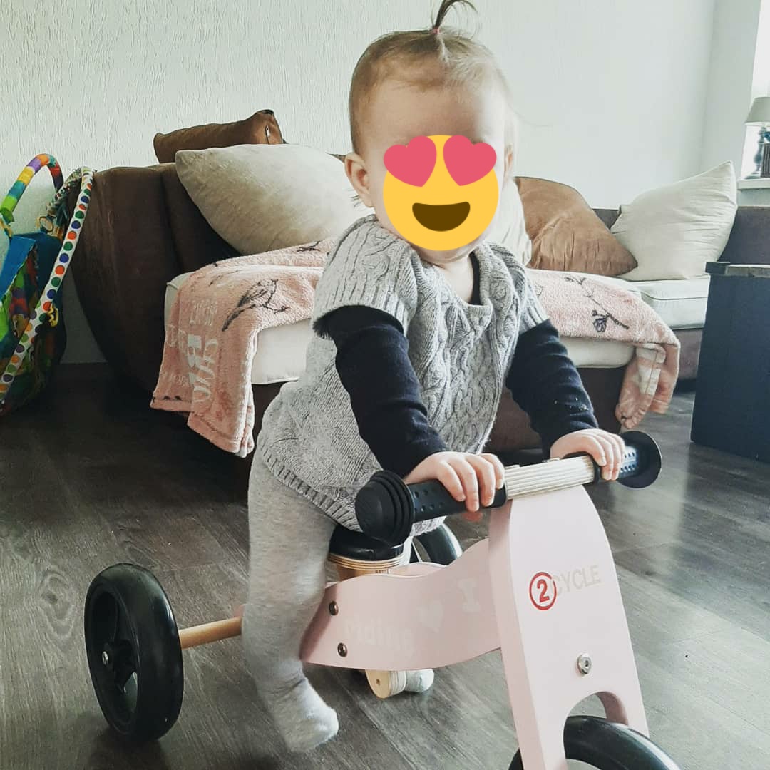 mommy_of_Roxi's tweet photo. Wat is ze trots op haar loopfiets๐ #earlybirthdaygift #almost1year #thismommaisgoingtocry https://t.co/k4Q8VuMaun
