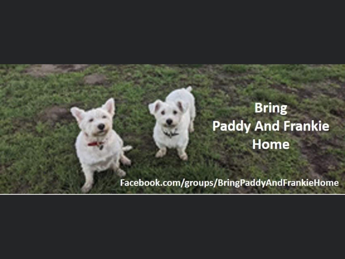 Karen Field tweet media