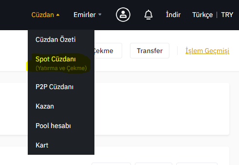 Kripto Para Transferi Nasıl Yapılır