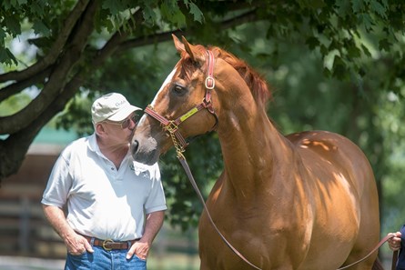 LuvMyCinnamon's tweet image. Happy Birthday Wise Dan.🎂🏇

Wise Dan with Michael Blowen at Old Friends in Georgetown,  KY. July 6, 2019
Photo Credit: Joe DiOrio
#WiseDan #HorseRacing