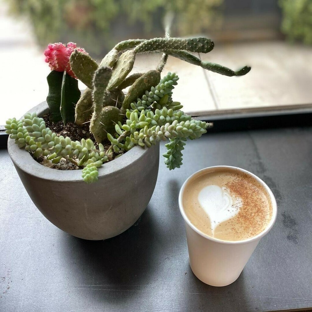 PROVISION tweet media