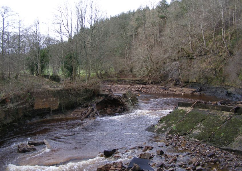 Tony McK 🏴󠁧󠁢󠁳󠁣󠁴󠁿 ||*|| tweet media