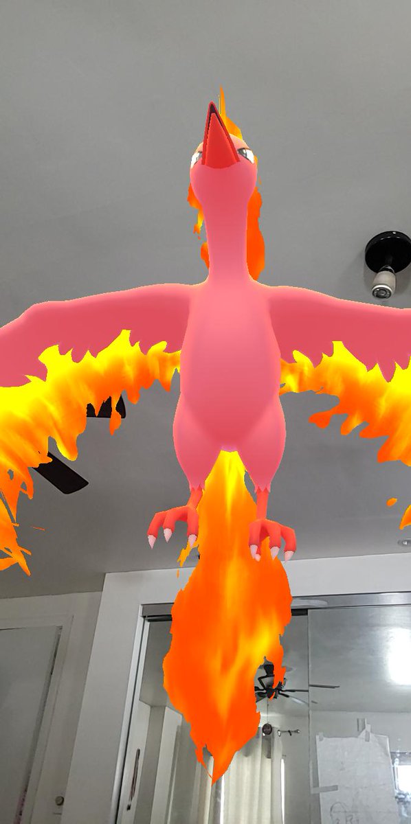 SkittlesFancy's tweet photo. #PokemonGOTour
Got that shiny moltres!!!
#pokemongo #pokemonGOtrade #pokemongoraid #pokemongoraids #PokemonGo #PokemonGoRaids #PokemonGOfriend https://t.co/7pqTbpERHJ