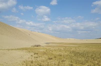 トリビア雑学 日本最大の砂丘は鳥取砂丘ではなく 青森県にある猿ヶ森砂丘である 雑学 トリビア 日本最大 砂丘 青森県