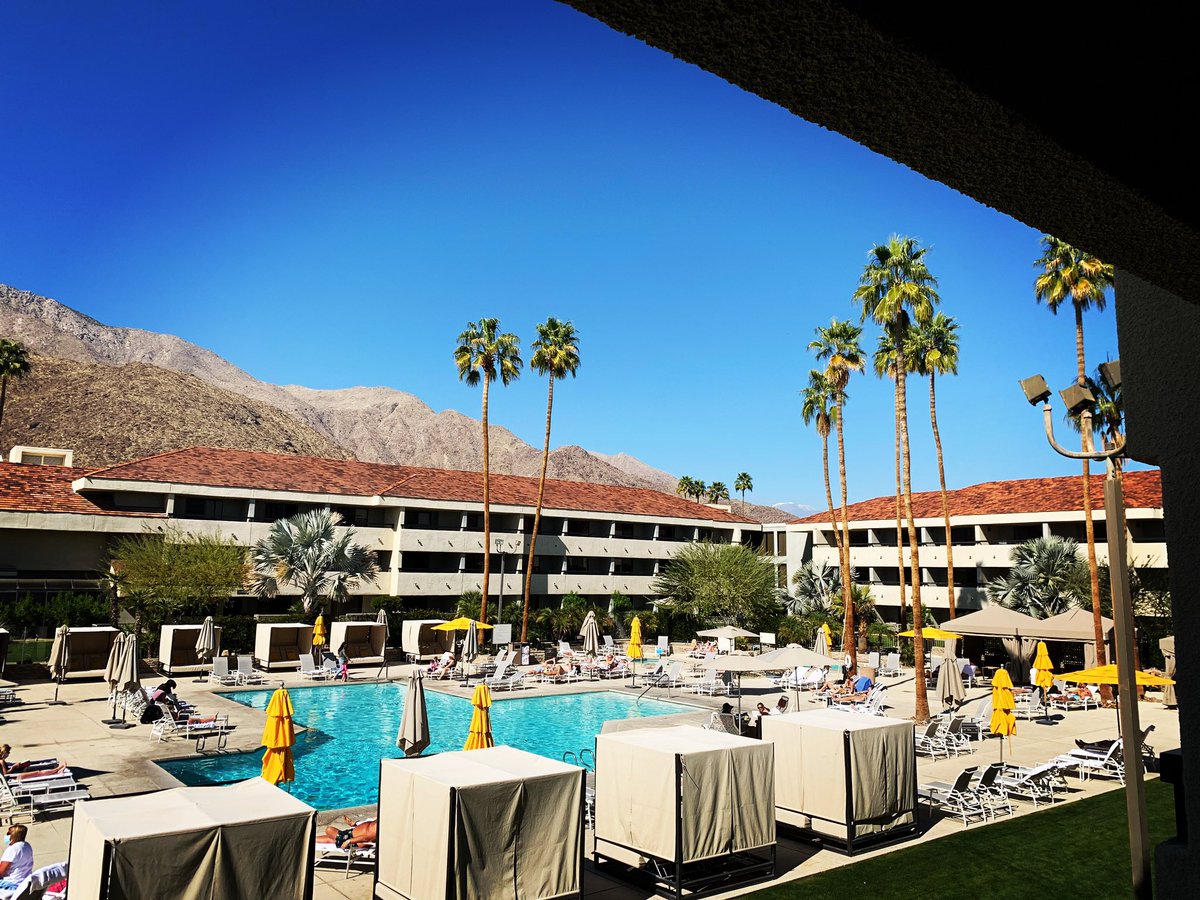 HiltonPSprings's tweet photo. Saturday Mood 😎
#hiltonpalmsprings #pooltime #palmsprings #coachellavalley #bluesky #beautifulday #mountainview https://t.co/yzHLFfmBqn