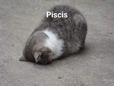 TW Pornstars - Princess April Free Fansly. Pictures and videos from