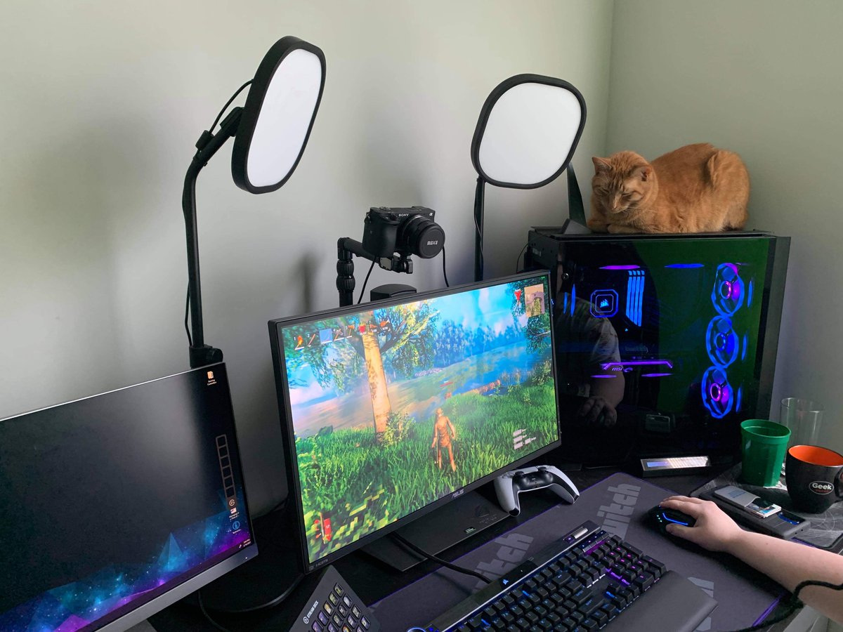 elgato's tweet photo. Happy #NationalLoveYourPetDay! 🎮🐈

Do you have a pet cam for your stream?

📸: @TBBiTv https://t.co/zlZ0utBgjQ