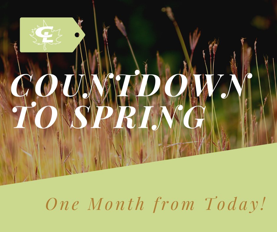 Excited to welcome spring in one short month! 🌿
#landscaperemodel
#spring
#onemoremonth