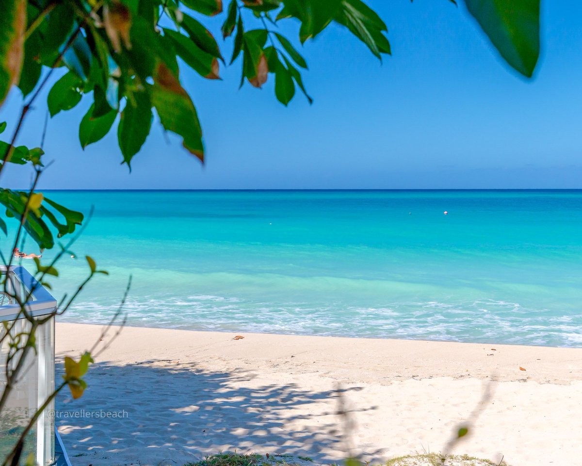 travellersbeach's tweet photo. Stop looking, and let us go for a dip!

#travellersbeach ⠀
⠀
#Weekendplans #sevenmilebeach #visitjamaica #visitnegriljamaica #jamaica #traveltojamaica #beachvacation #capitalofcasual #beachbum #takemetothebeach #beachholiday #caribbean  #westindies #destinationjamaica #876views https://t.co/HHz7fR8jis