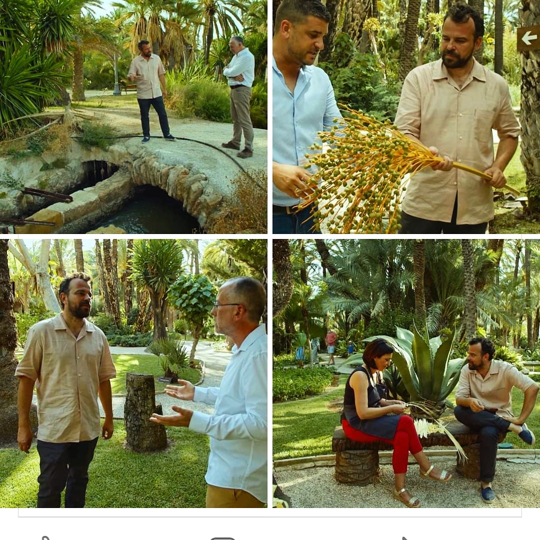 Si no tuviste la oportunidad de ver el programa "#Jardines con #Historia" de TVE2, aquí podéis verlo y redescubrir #Elche y su #palmeral #histórico. 
Enlace: youtu.be/YJDf7QMveQs