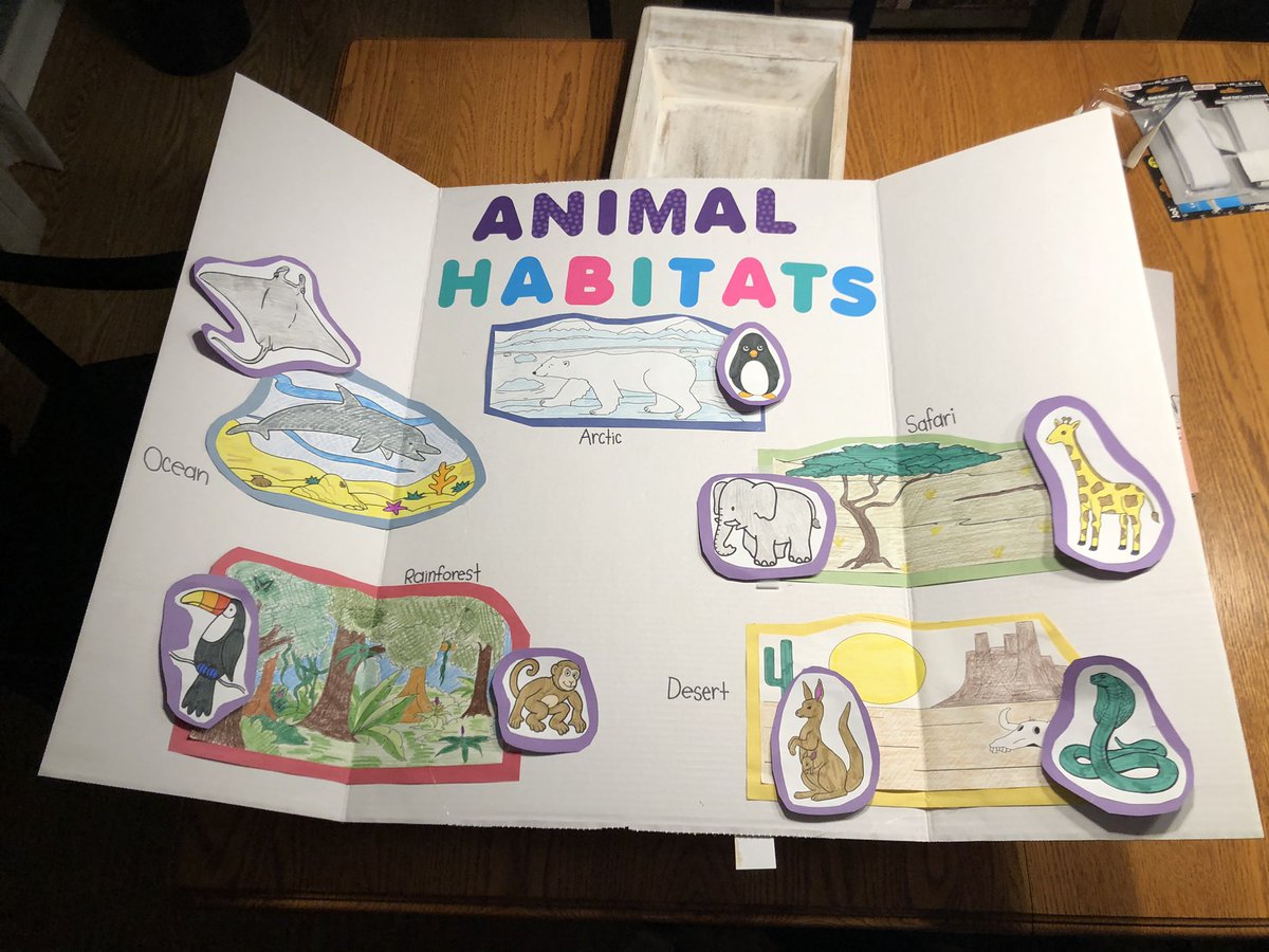 Fashion Chef tweet media