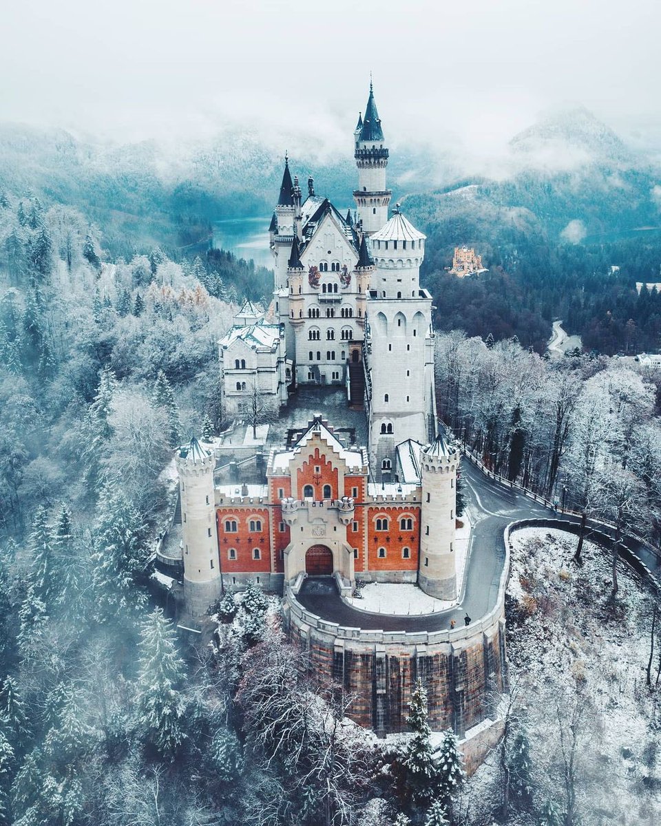 فوتوغرافيا tweet media