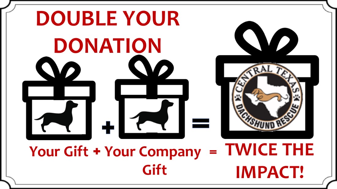 CTDR's tweet image. Many companies offer a matching gift program to their employees? Amplify CTDR during Amplify Austin on March 5-6 by contacting your Human Resources Office to obtain a matching gift form Your donation could be doubled! #AmplifyCTDR  tinyurl.com/1nnqmxkv