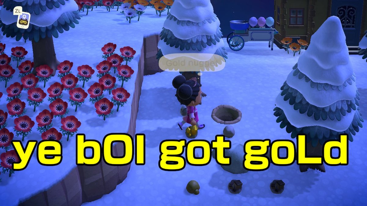 #AnimalCrossing #ACNH #NintendoSwitch