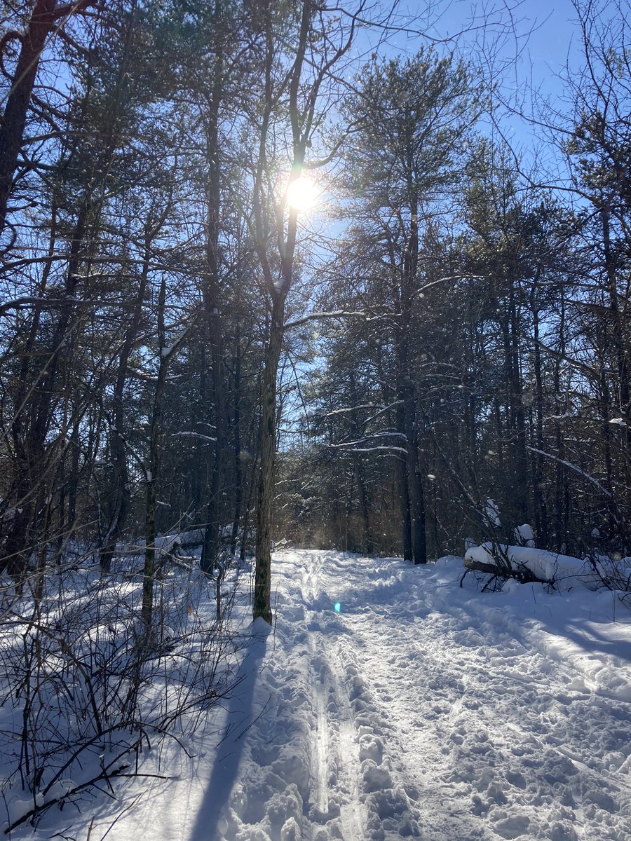 Great day to get outside - skiing on <a href="/TheGreatTrail/">The Great Trail</a> #ottawawinter #getoutside