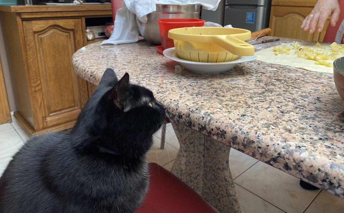 chiiaraaass's tweet photo. Atelier cuisine pour mon chat avec ma Nonna lol 👩‍🍳 https://t.co/hNb1BGywXf