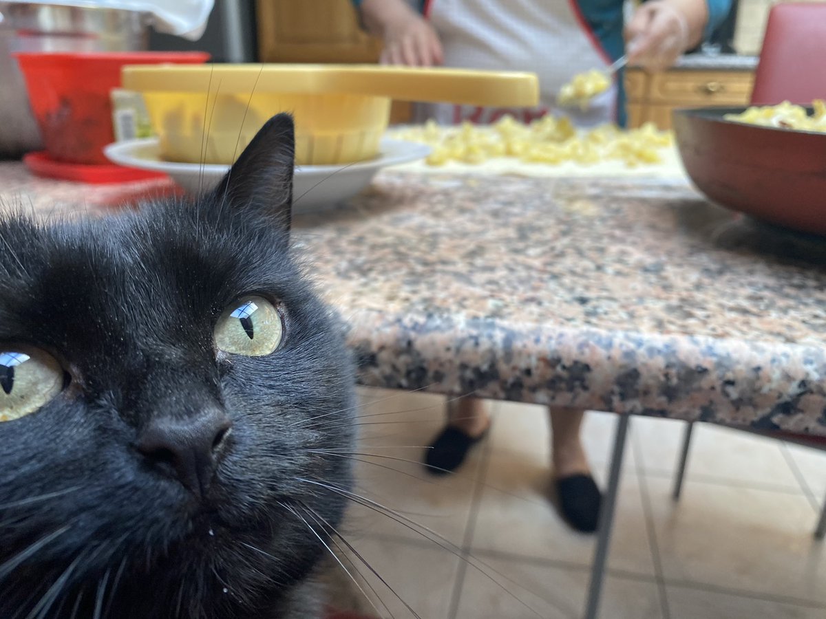 chiiaraaass's tweet photo. Atelier cuisine pour mon chat avec ma Nonna lol 👩‍🍳 https://t.co/hNb1BGywXf