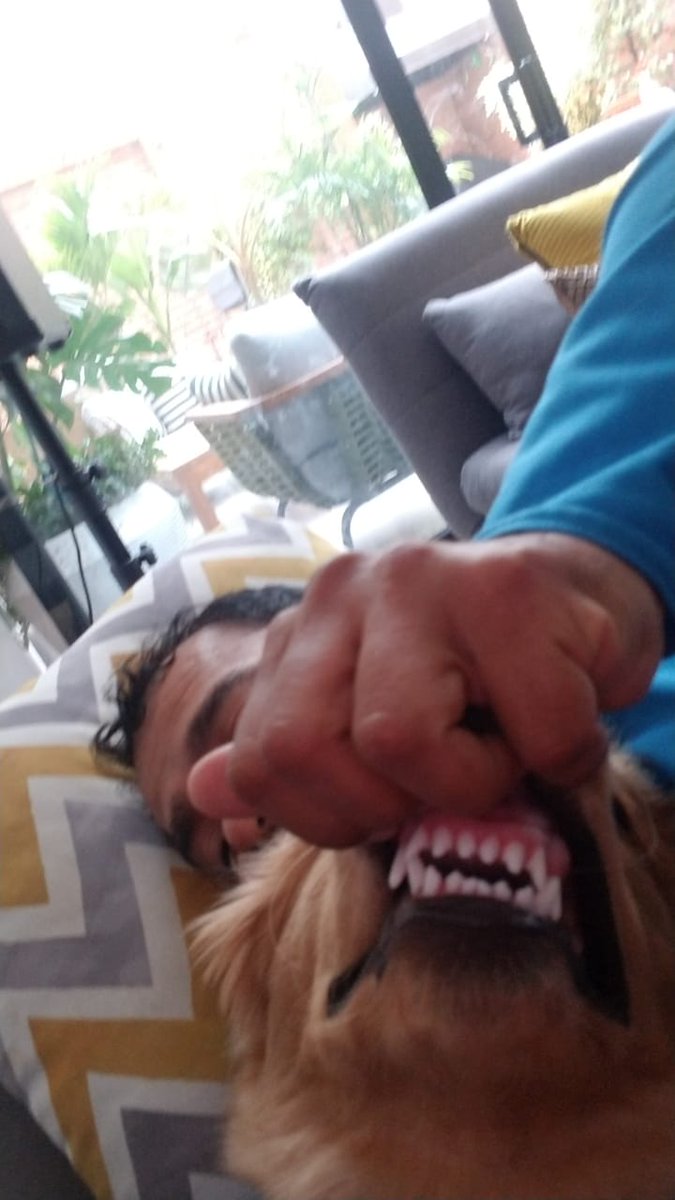 govierdez's tweet photo. Cuando me haga #zombiee tendré esos colmillos. https://t.co/1G8GGIWq1m
