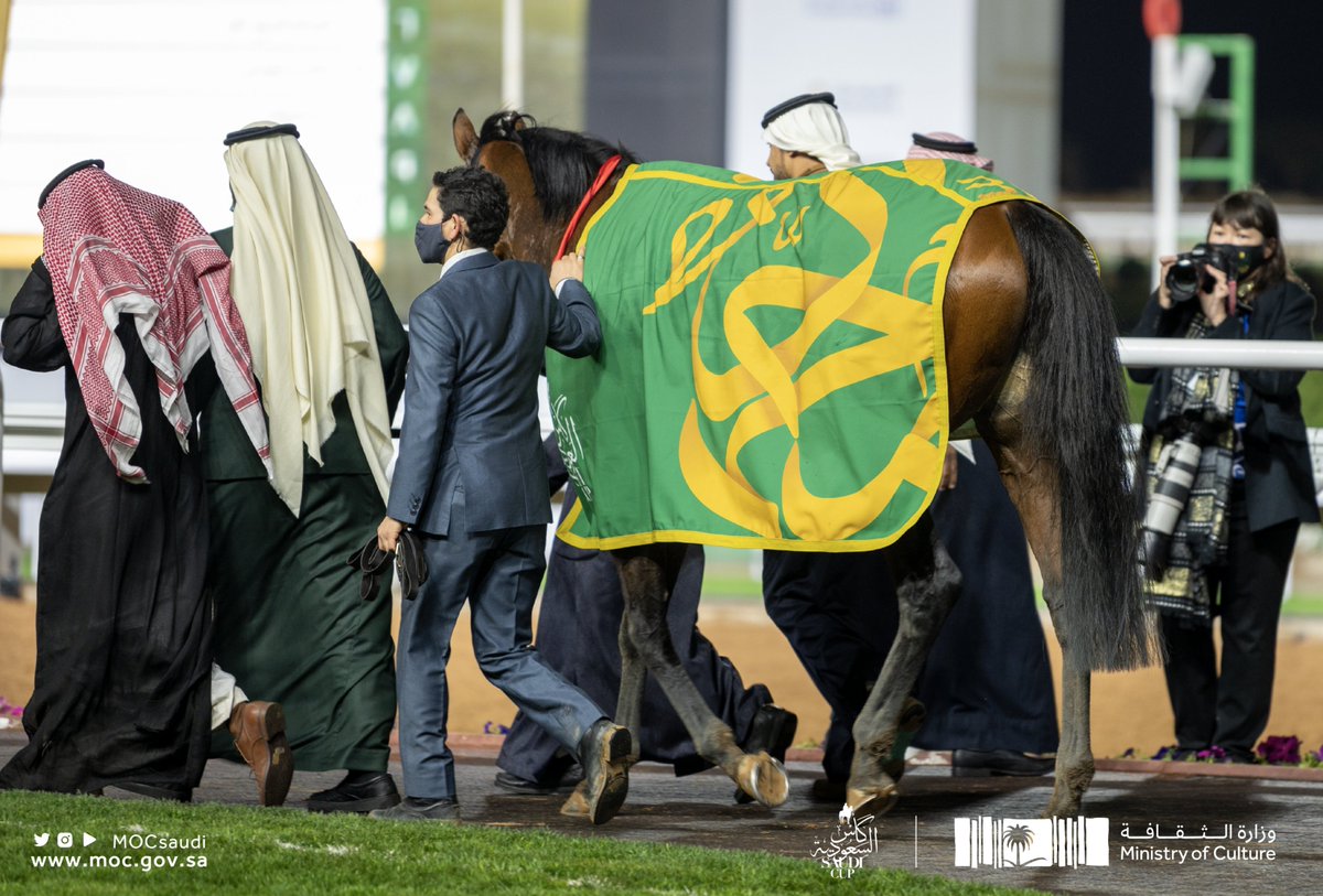 "مشرف" الجواد الفائز في #كأس_السعودية يتألق بوشاحٍ مزخرف بالخط العربي.

#وزارة_الثقافة